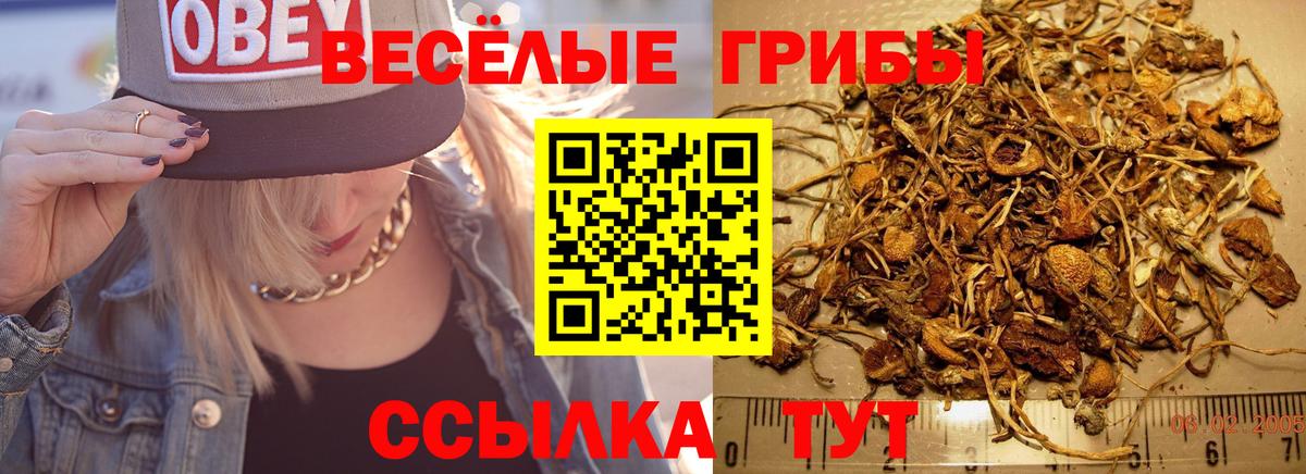 Стрежевой  Псилоцибиновые грибы ЛСД  продажа наркотиков  Вход с VPN  Псилоцибиновые грибы Magic Shrooms 