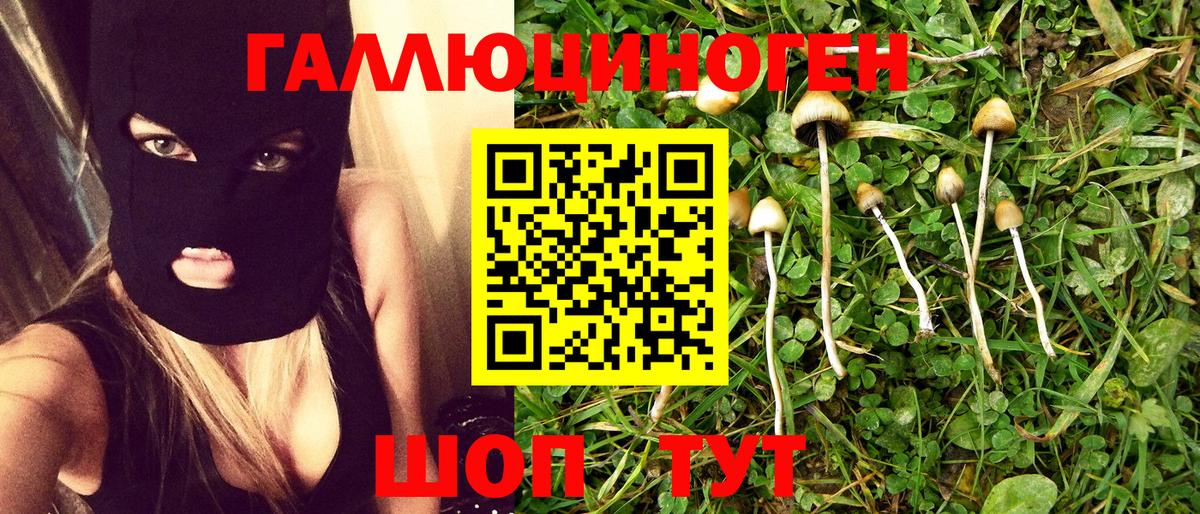 Галлюциногенные грибы Cubensis Стрежевой